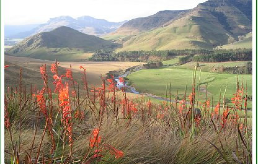 Southern Drakensberg Mountains-Giant Cup 4 Nights/ 5 Days- Hiking!