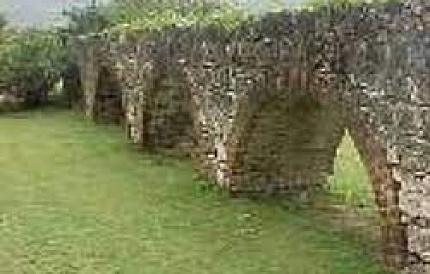 Discover The 7 Wonders of St. Andrew Eastern Jamaica with Walkbout