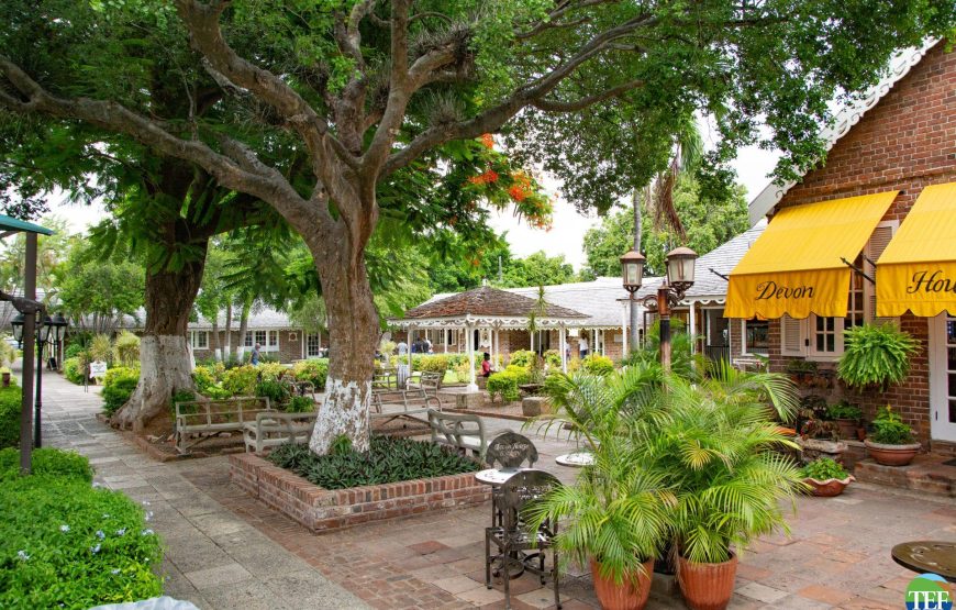 Devon House Jamaica Tour and Dine Experience