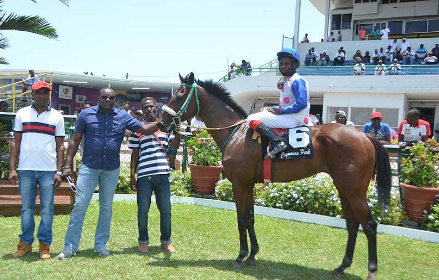 A Day At The Races at Caymanas Park