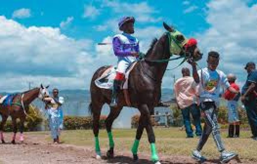 A Day At The Races at Caymanas Park