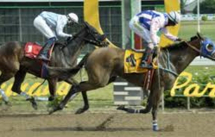 A Day At The Races at Caymanas Park