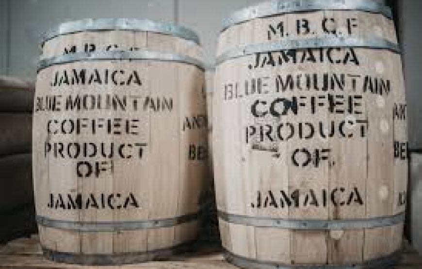 Tour of Mavis Bank Coffee Factory – Home of JABLUM and Jamaica Blue Mountain Coffee